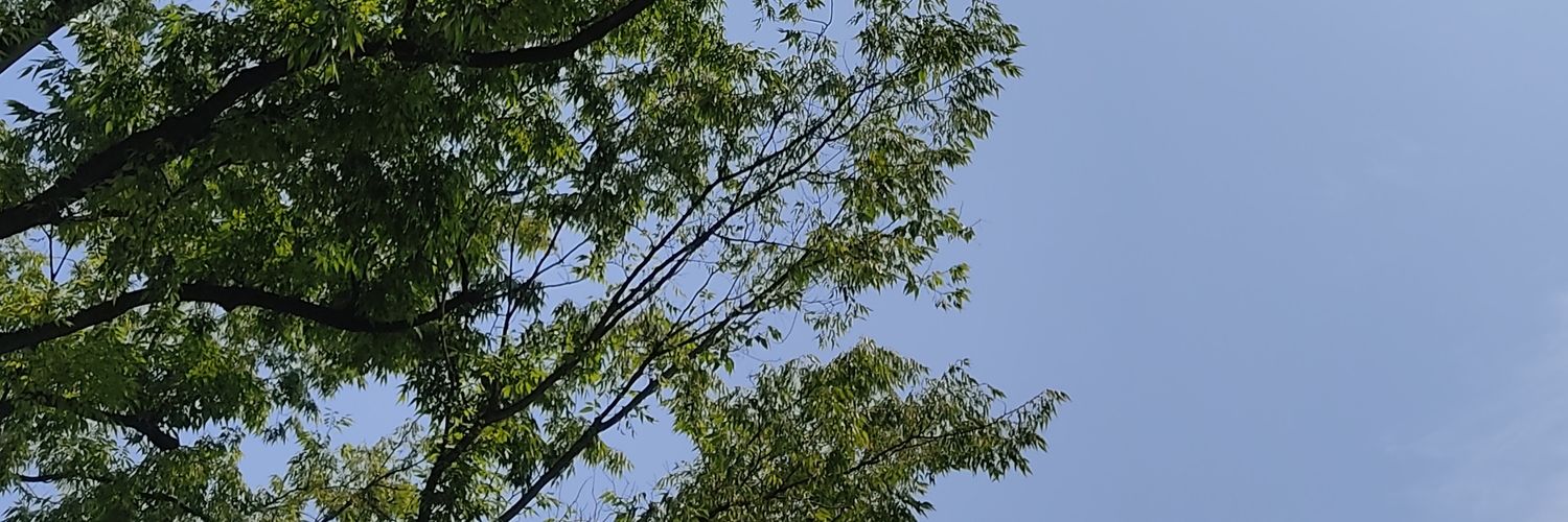 magnetdayo's profile banner image