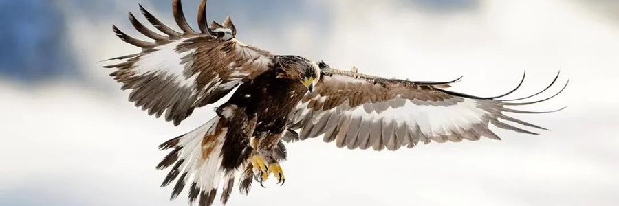 Manar522's profile banner image