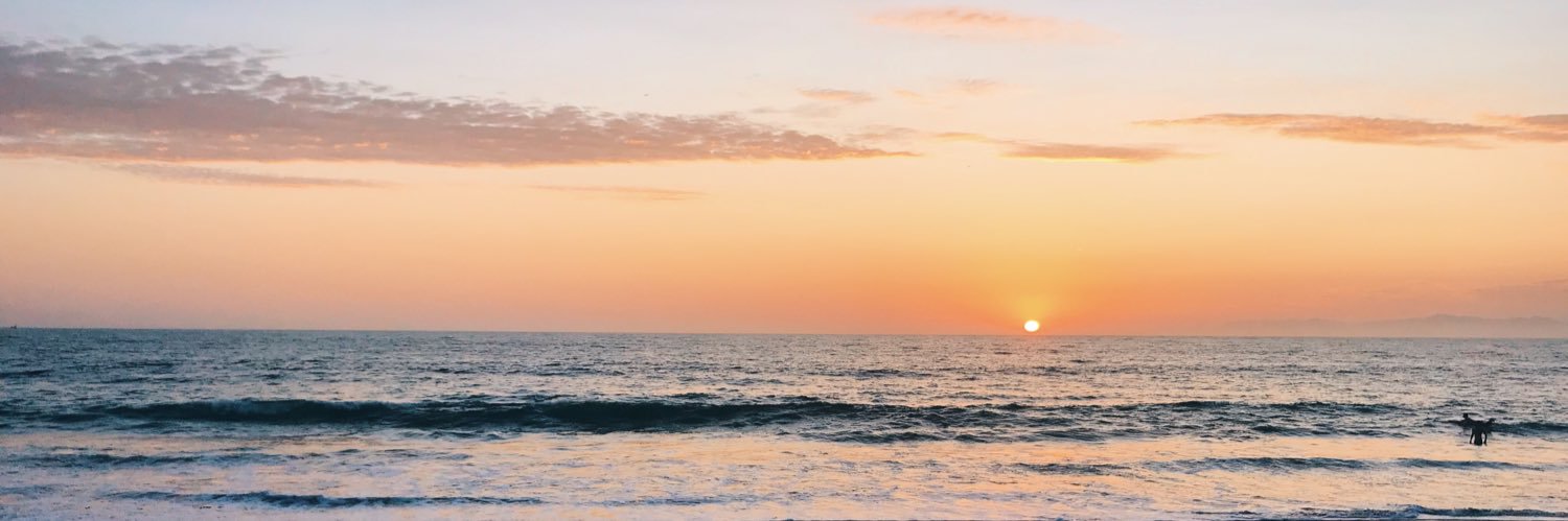 PaigeLindgren1's profile banner image