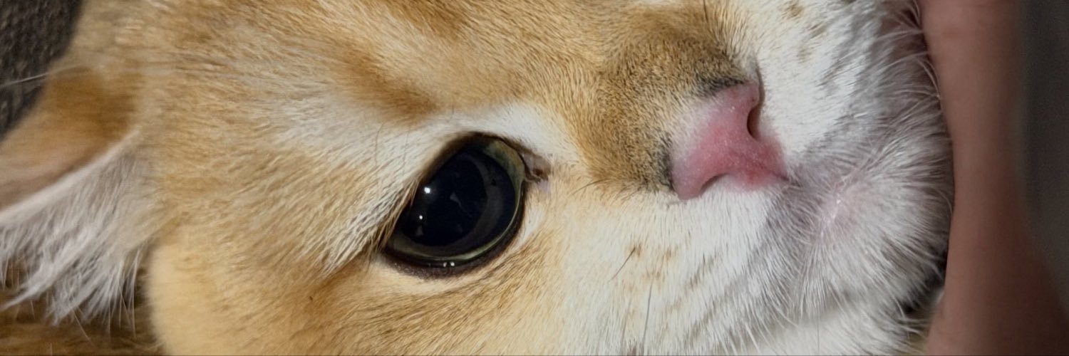 Builddd_J's profile banner image