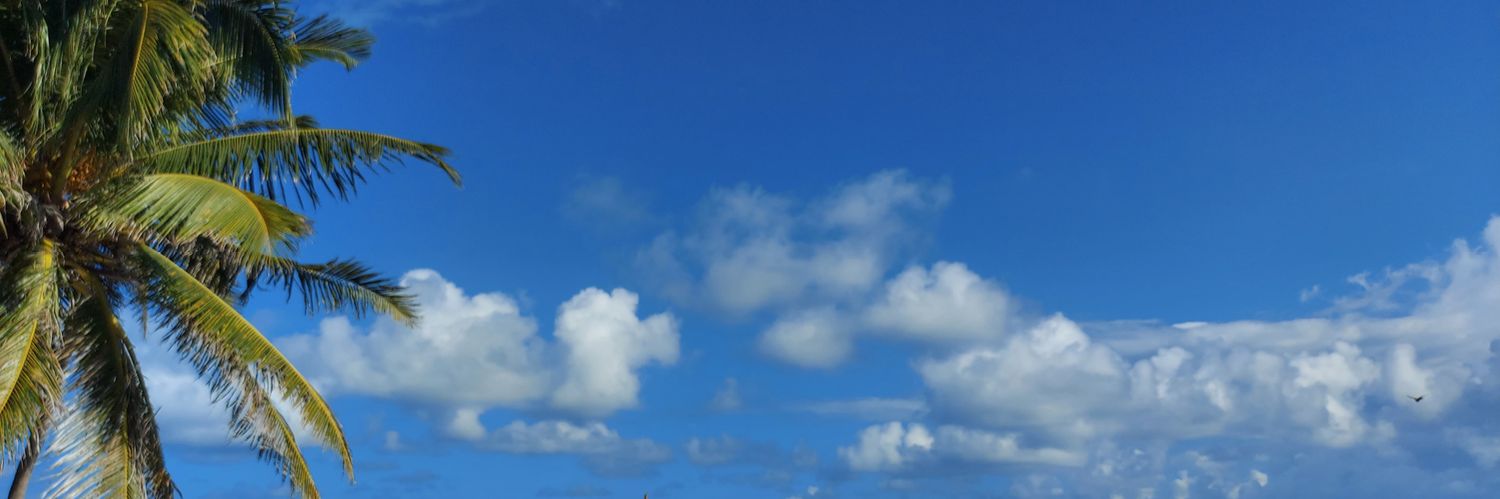 Jessvgb's profile banner image