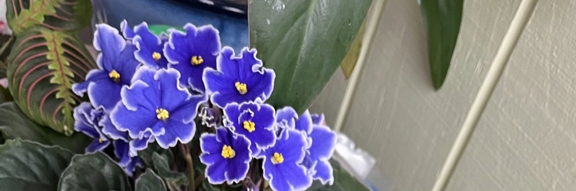 bethpariseau's profile banner image