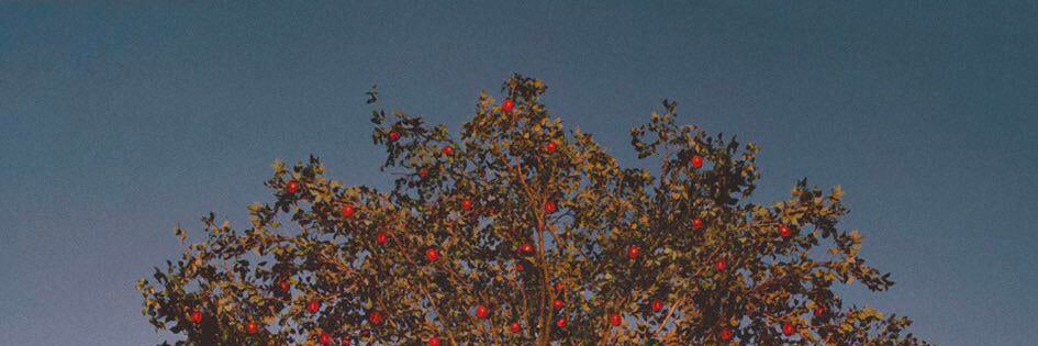 _Biz99's profile banner image
