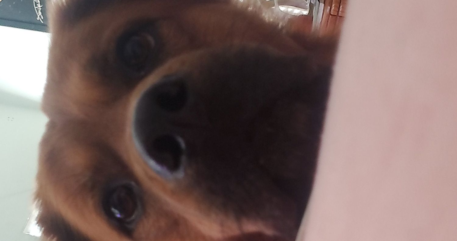 69booties's profile banner image