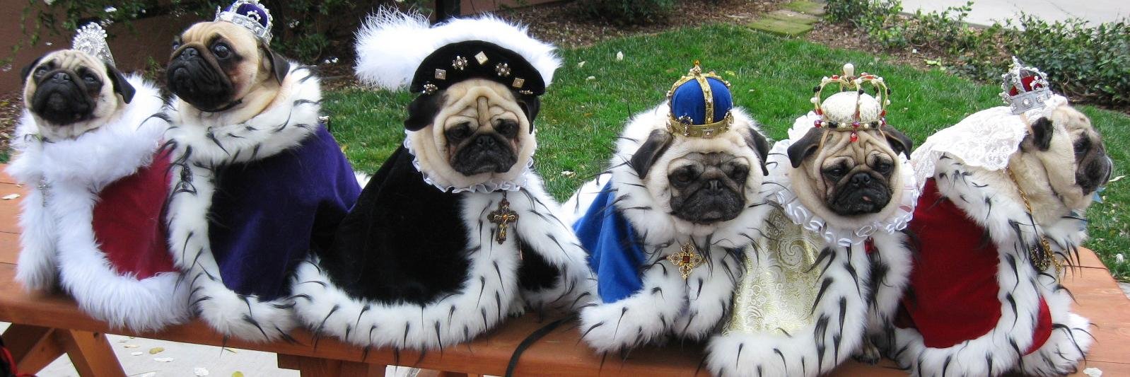 Francisco Díaz banner