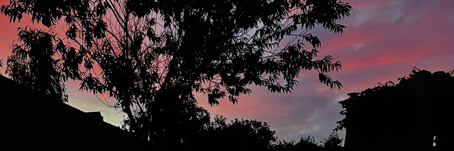 _tabassum99's profile banner image