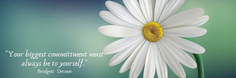 Leigh Anne Eck banner