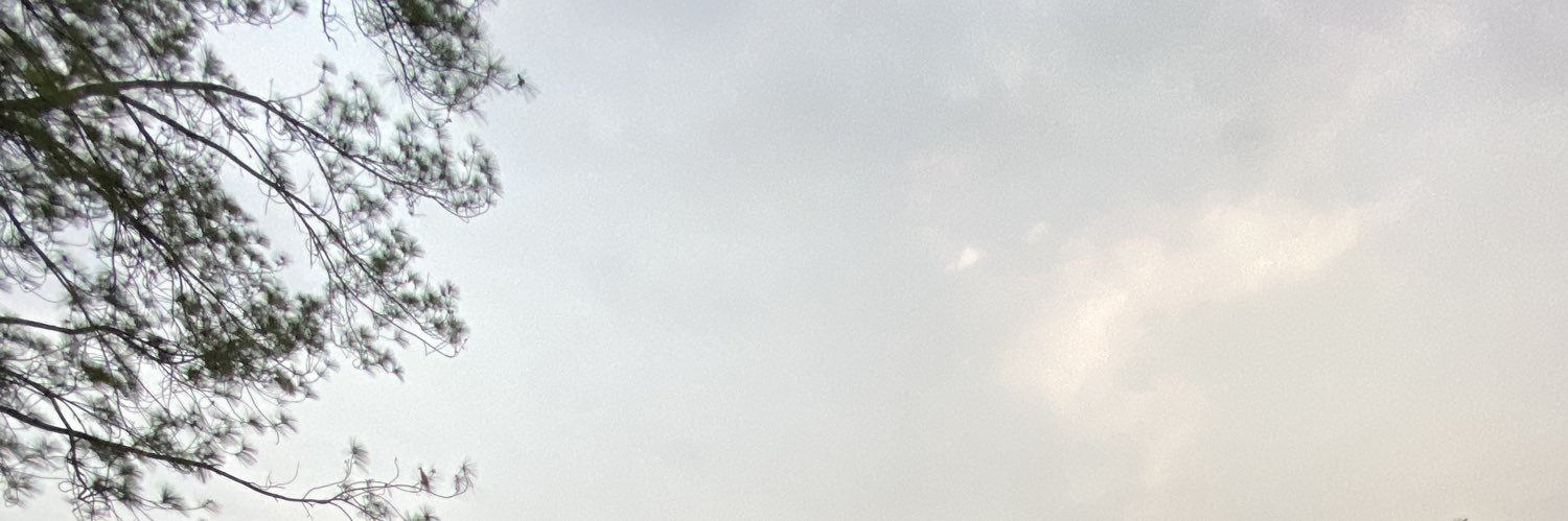 ayusifaH's profile banner image