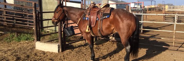 VPoffenroth Profile Banner