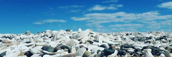 GabaFernandezz's profile banner image