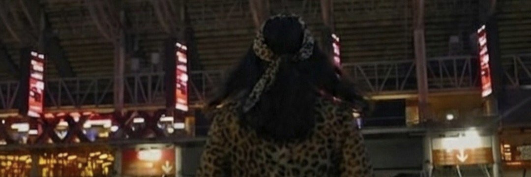 MeteloRicoLouis's profile banner image