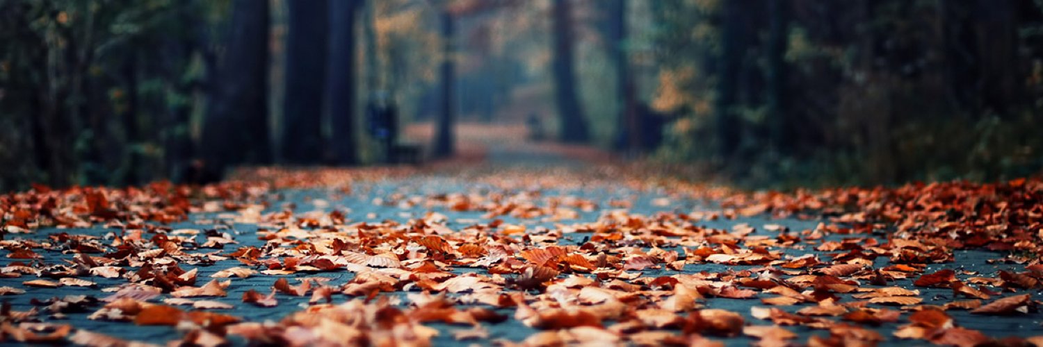 developernotes's profile banner image