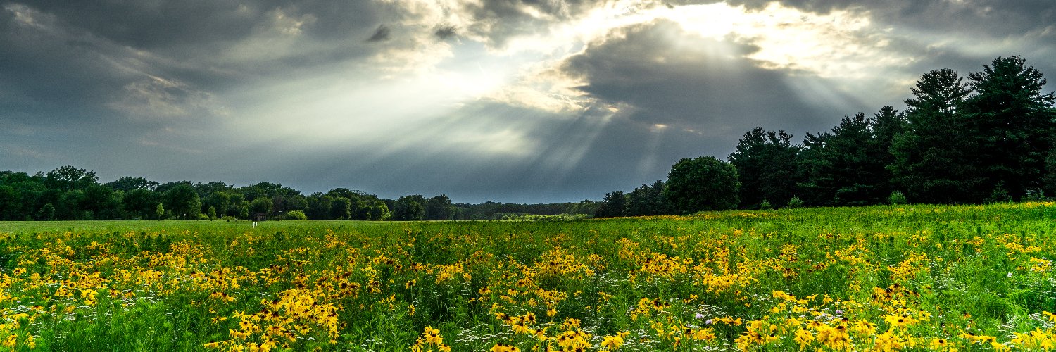 Linn County, IA banner