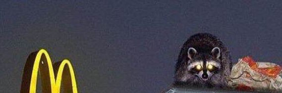 katetoseeit's profile banner image