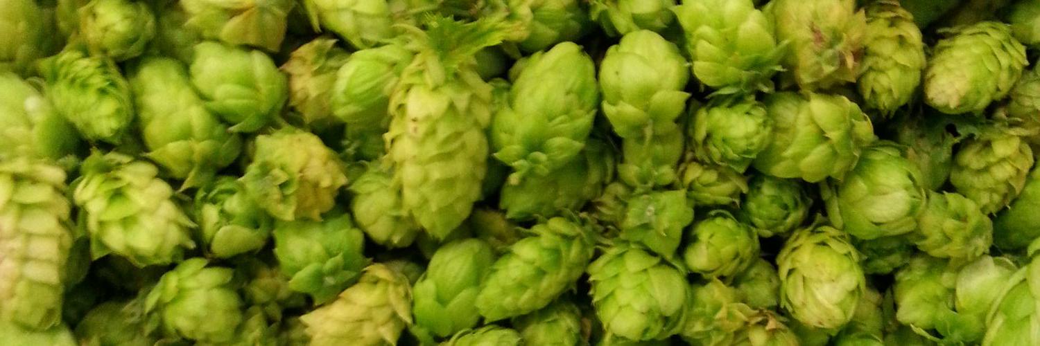 Birrificio  BioNoc' banner