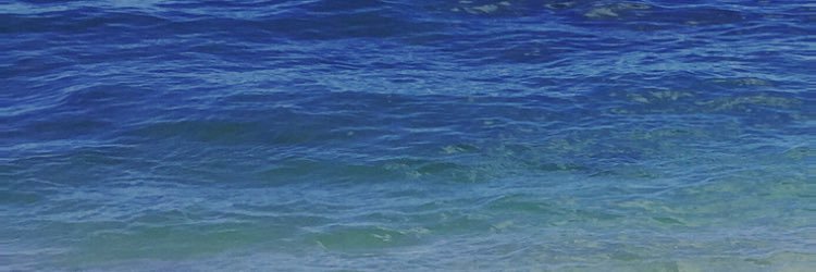 masslife55's profile banner image