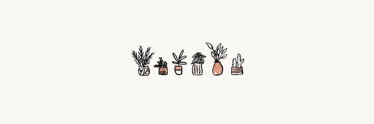 michi_calix's profile banner image