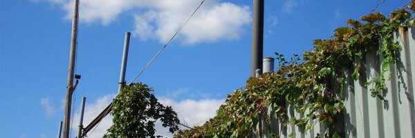 randihazan Profile Banner