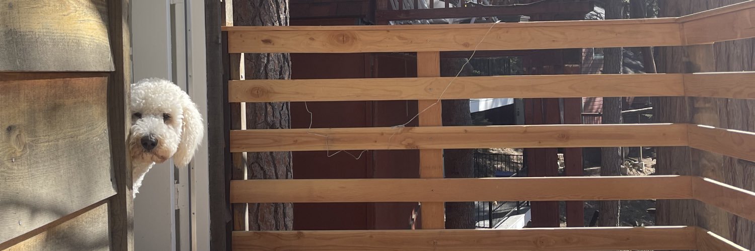 alyssaaraeann's profile banner image