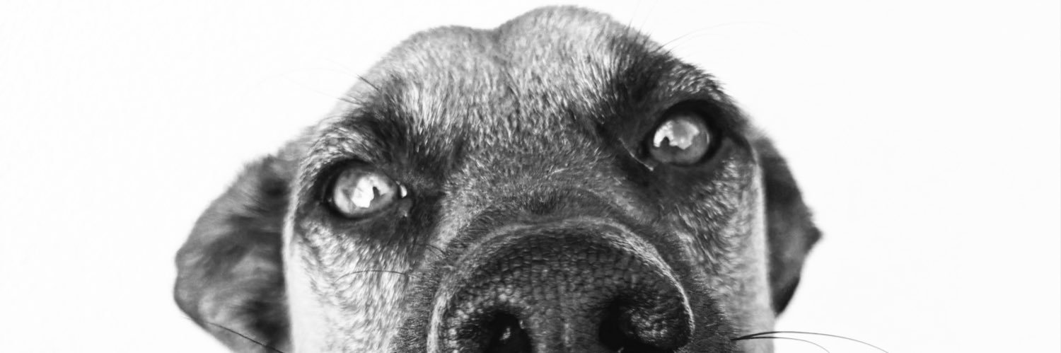 cachitoo's profile banner image