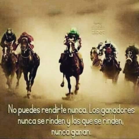 Jhony E Zambrano P banner