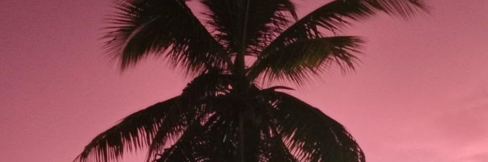 LGKellyT's profile banner image
