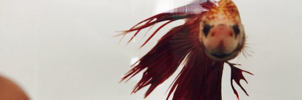 R23C08 Profile Banner