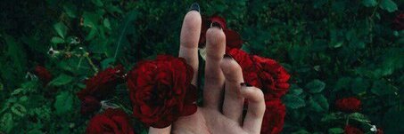 StarkHarlequin's profile banner image
