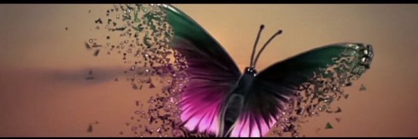 CallSignSiren Profile Banner