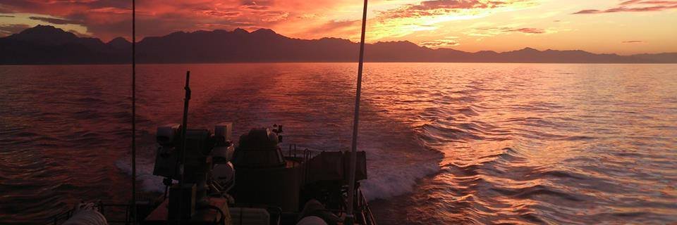 RayaneTahar's profile banner image