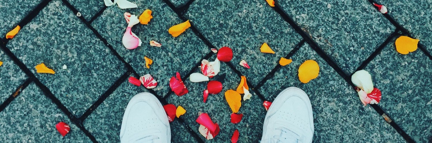 w1lkns's profile banner image