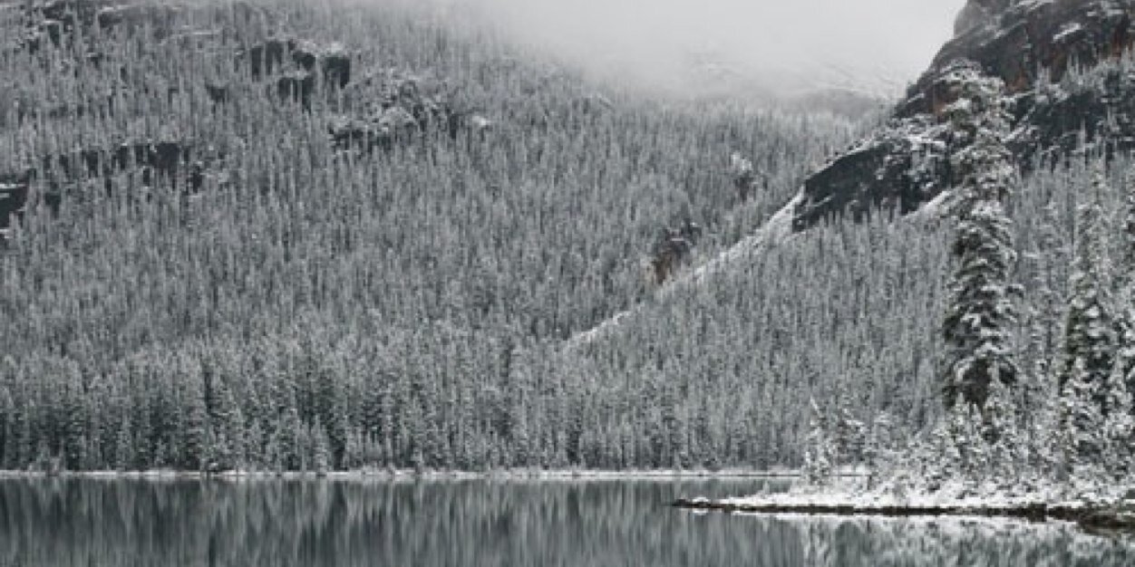 TREDESK's profile banner image