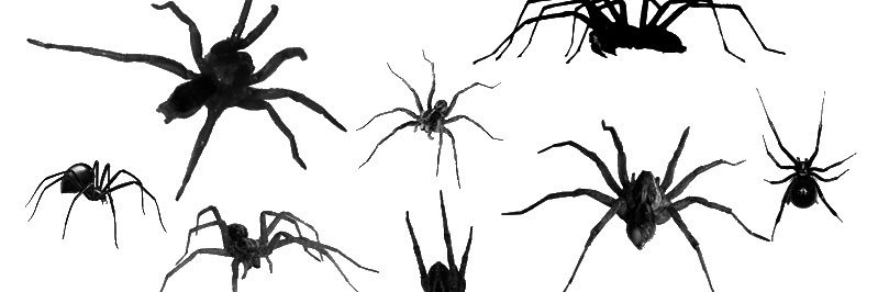 itsemmaa_'s profile banner image