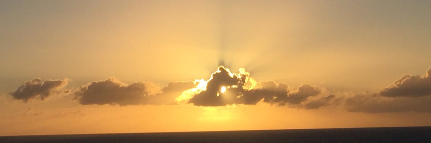 PollyRNc's profile banner image
