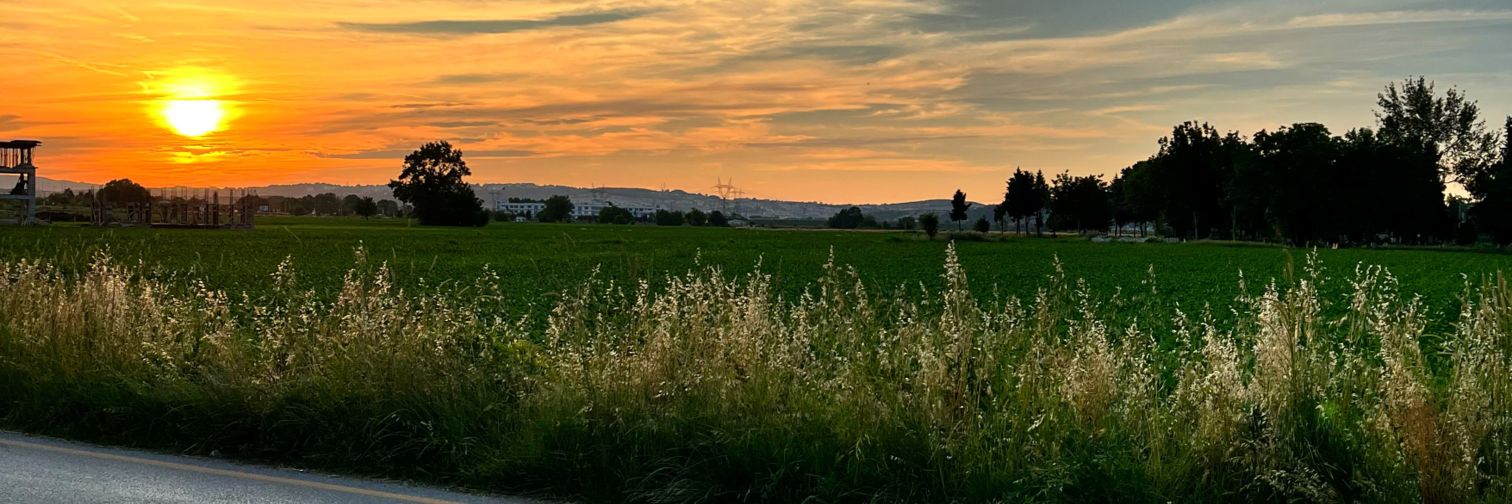 Roket_Adam's profile banner image