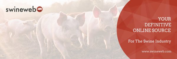 Swinewebcom Profile Banner