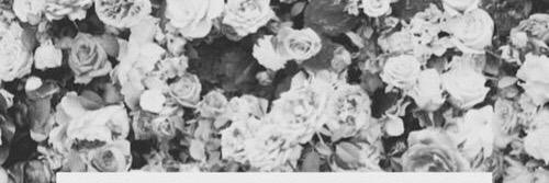 O2LKian6's profile banner image