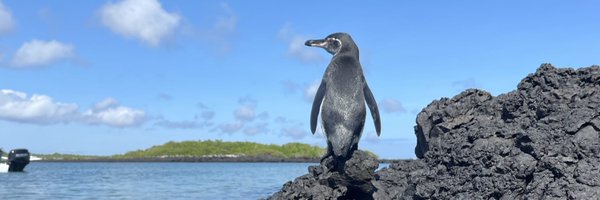 SolarteDaniela Profile Banner