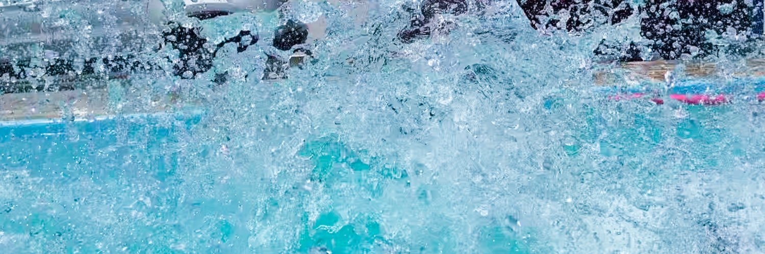 comunistinea's profile banner image