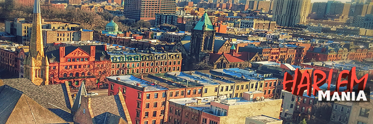 harlemmania's profile banner image