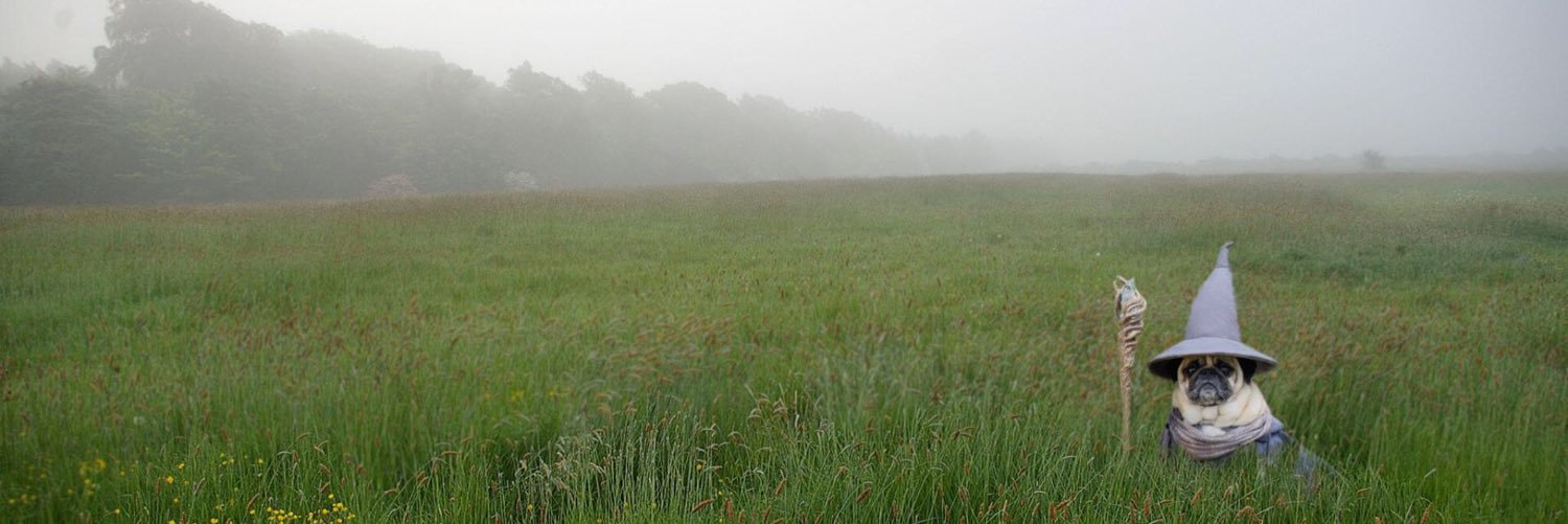 HuntWright21's profile banner image