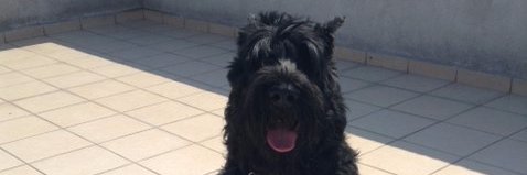 Acha64Pia's profile banner image