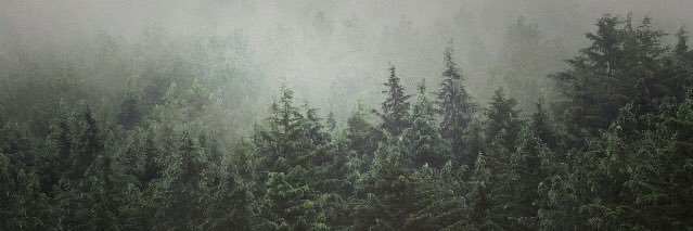 sofialastiri_'s profile banner image