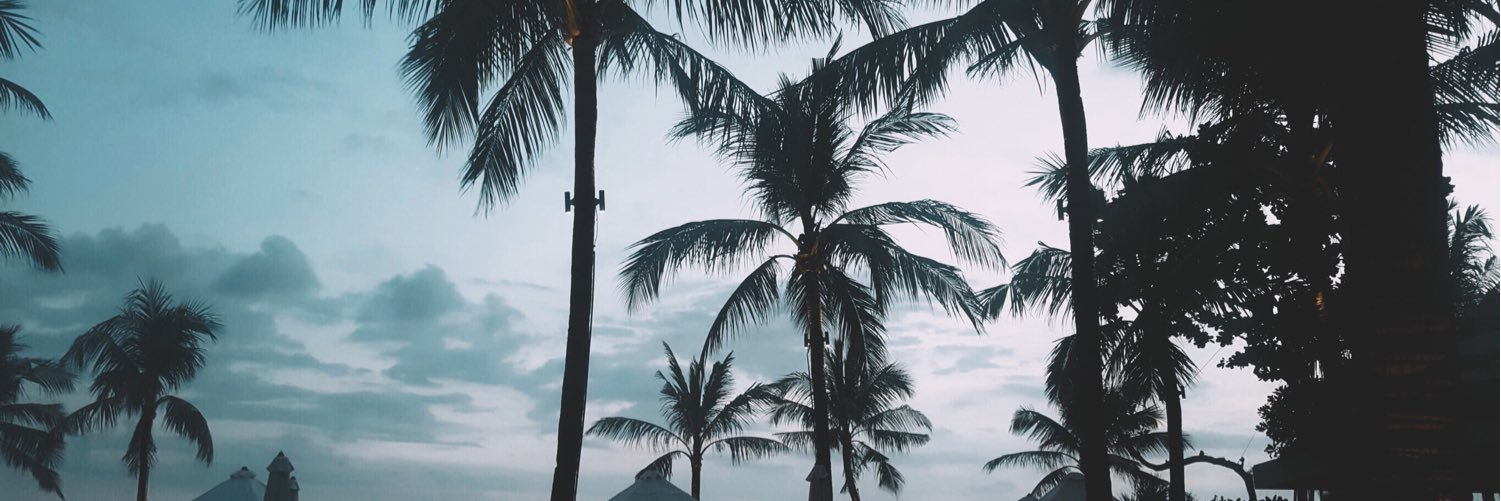lararhye's profile banner image