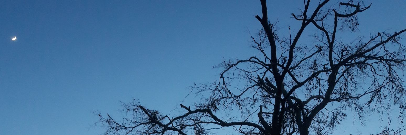 mooonchopr's profile banner image
