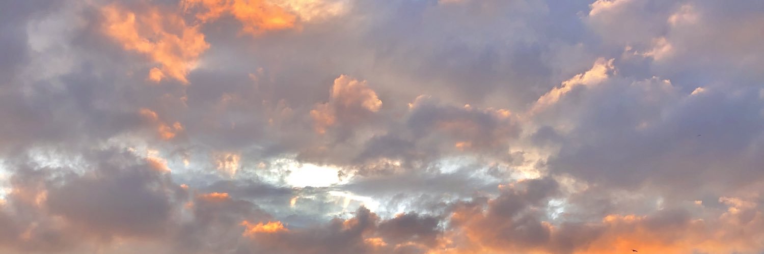olivia_piazza's profile banner image