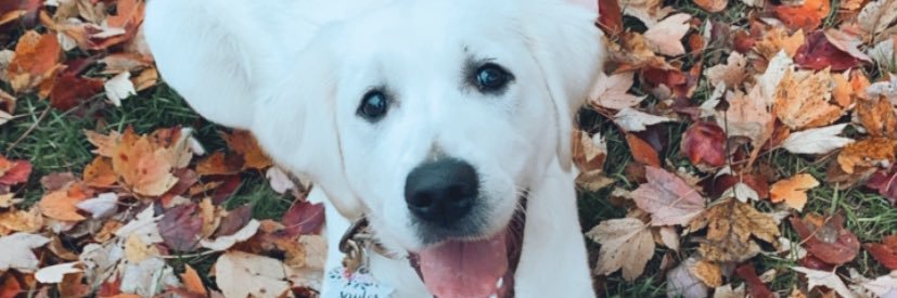 morganberger96's profile banner image
