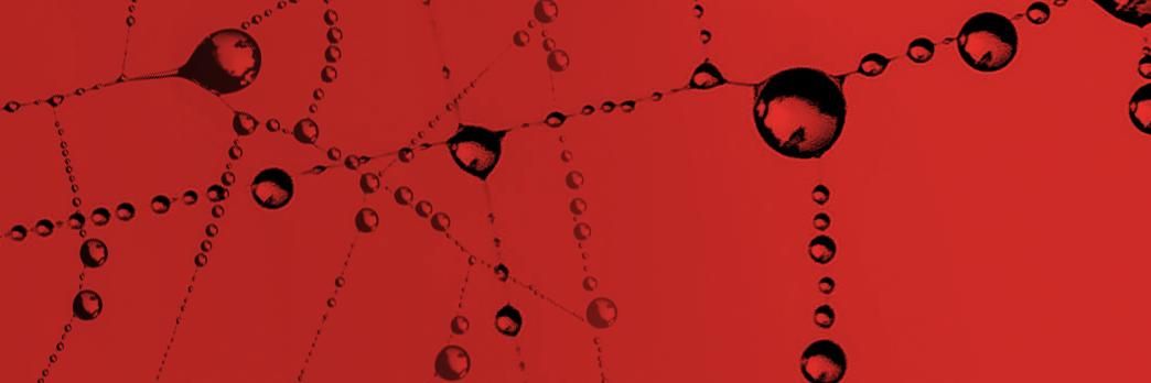 LaRedNetwerk's profile banner image