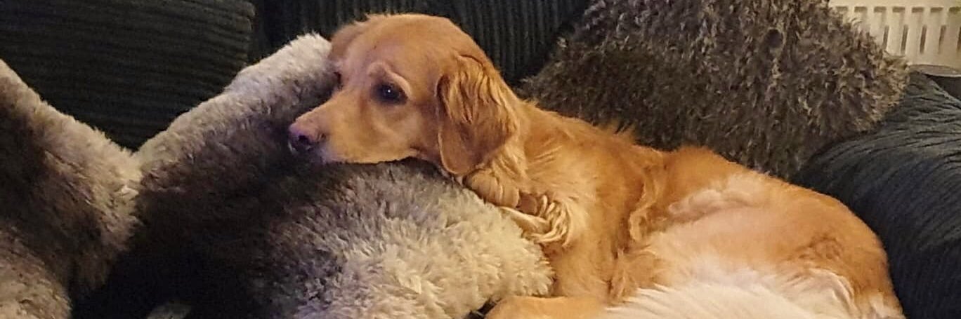 jamesjohn93's profile banner image