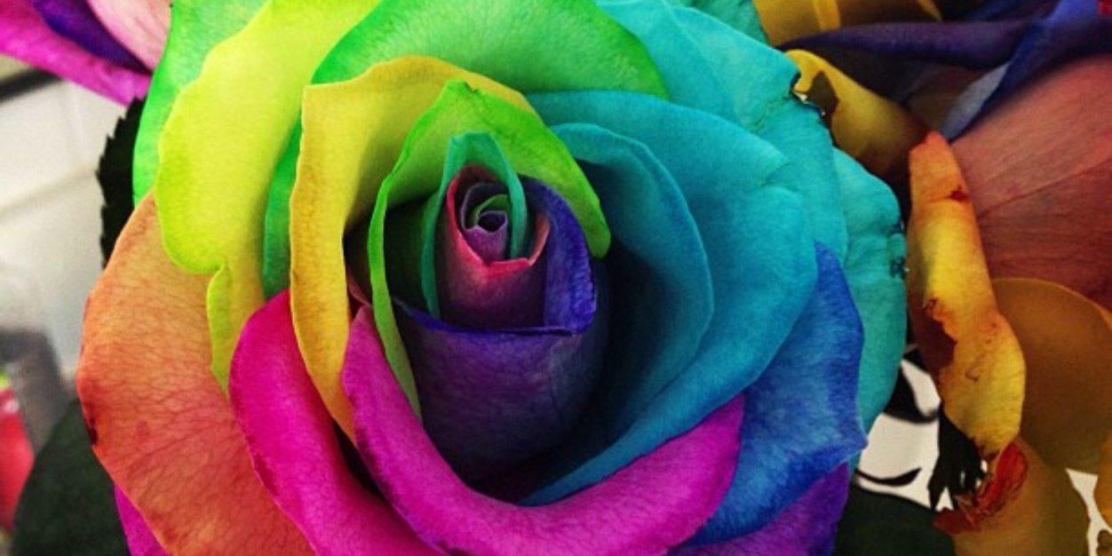 ClareSamp's profile banner image